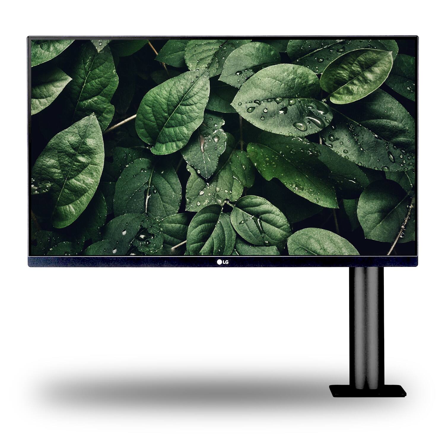 Back. LG - LG 27QN880-B 27" 16:9 FreeSync IPS Monitor with Ergo Stand + HDMI Cable + USB-C Cable and Cleaning Kit - Dual Monitor Bu.