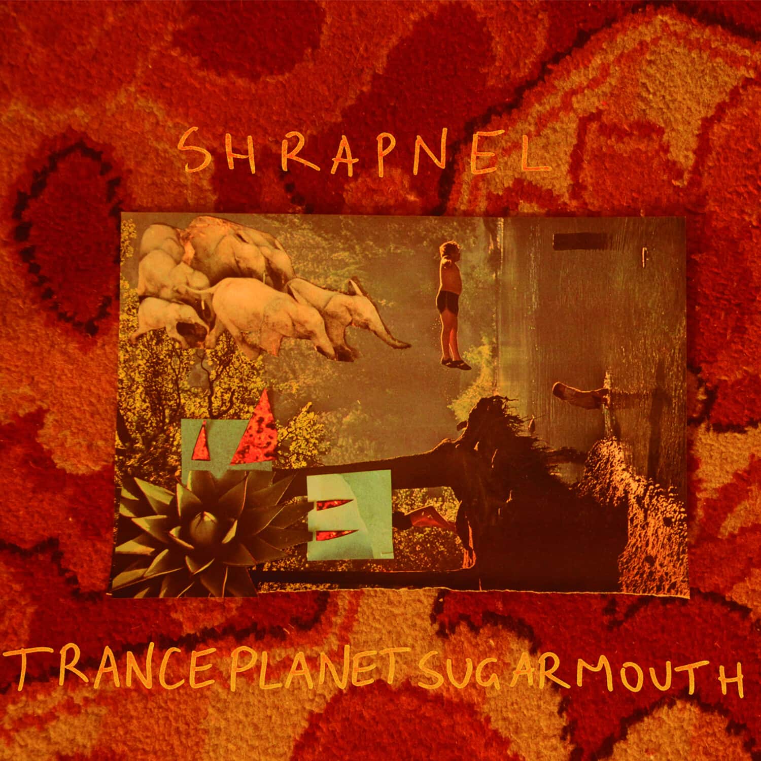 Shrapnel - Tranceplanetsugarmouth   - VINYL LP price history on PriceWatchPro