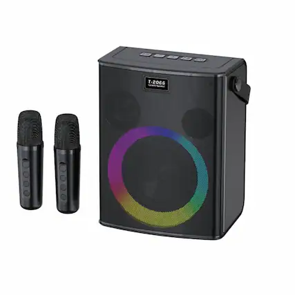 11-1
+
PA
D3
T-2066 karaoke Speaker