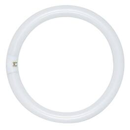 SATCO - 32 W T9 1.13 in. D X 12 in. L Circline Fluorescent Bulb Daylight Tubular 6500 K 1 pk