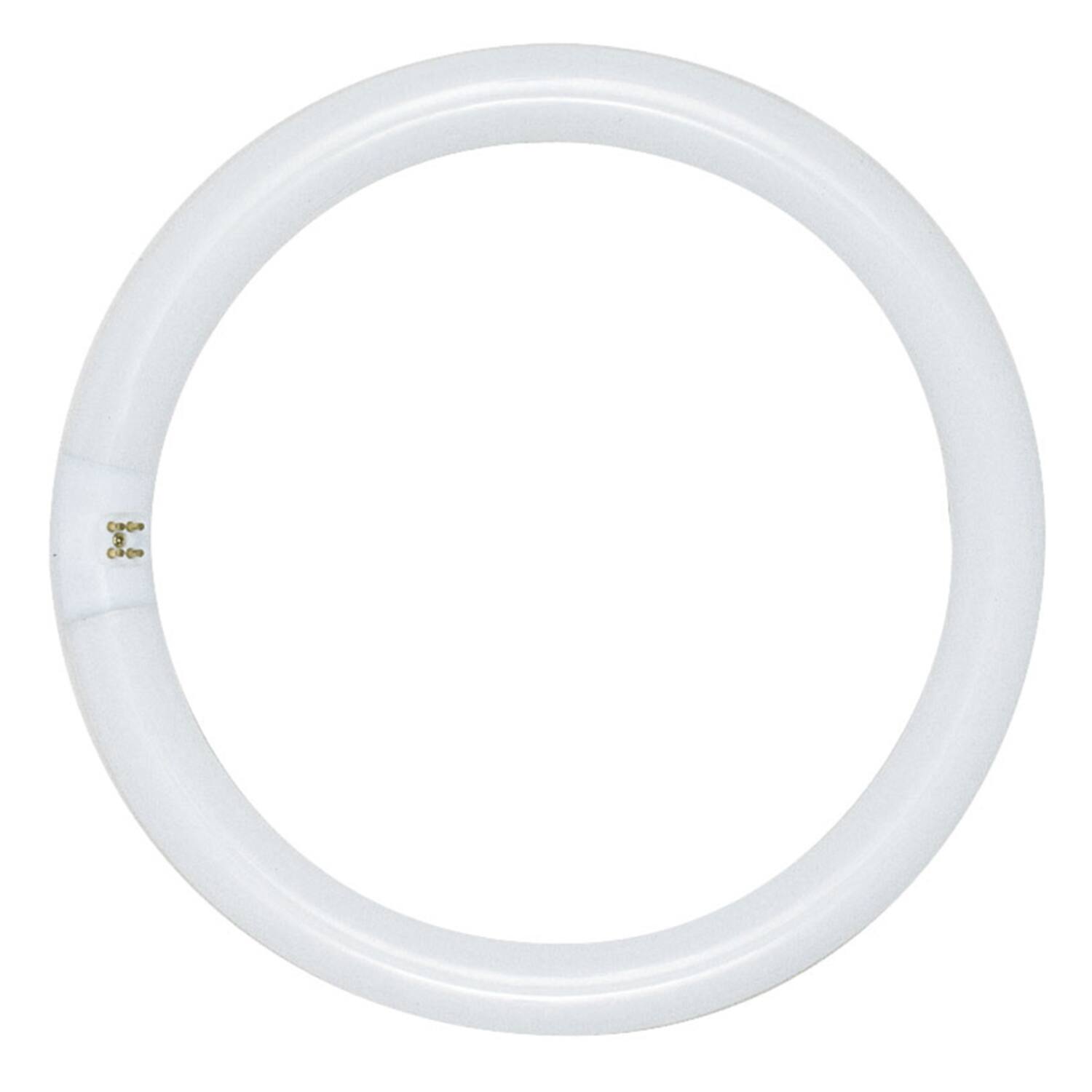 Front. SATCO - Satco 32 W T9 1.13 in. D X 12 in. L Circline Fluorescent Bulb Daylight Tubular 6500 K 1 pk.