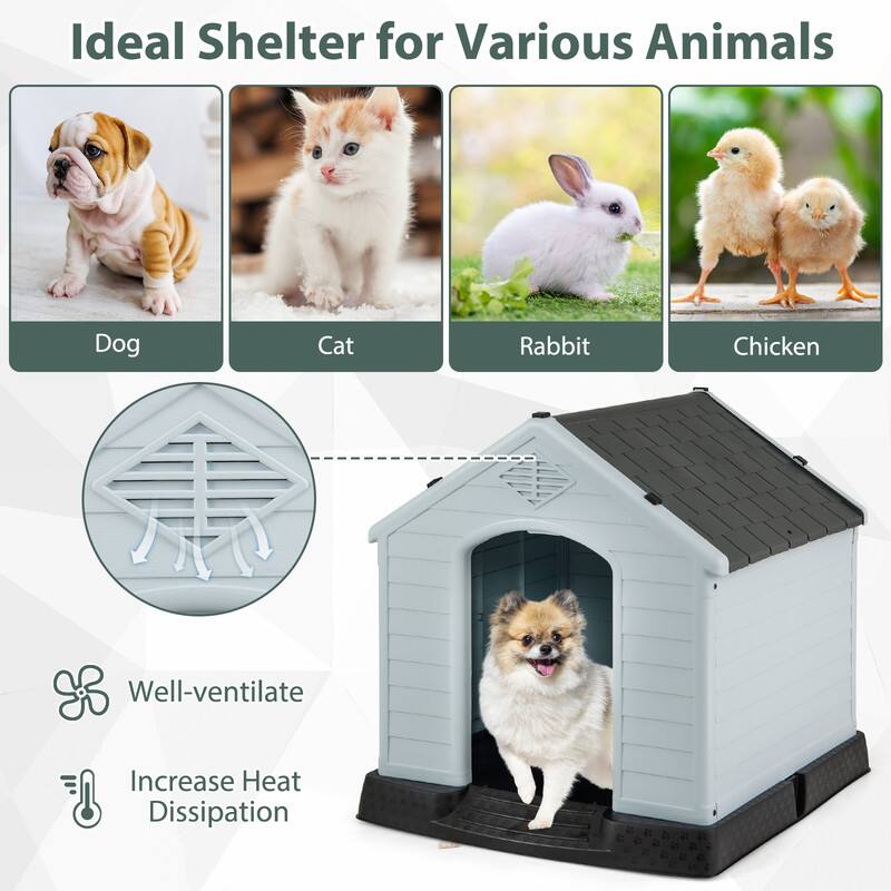 Ideal Shelter for Various Animals

Dog
Cat
Rabbit
Chicken

Well-ventilated
Increase Heat Dissipation
