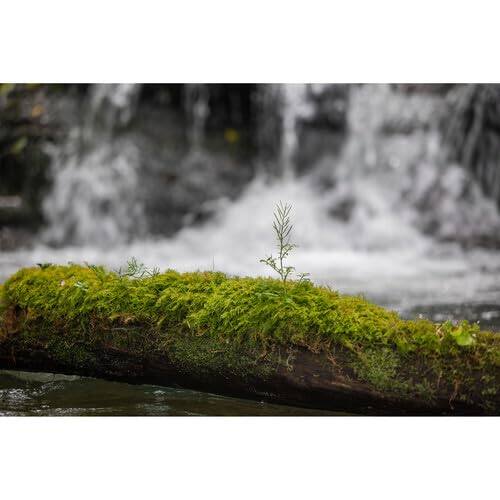 Alt View 4. Sigma - Sigma 28-105mm f/2.8 DG DN Art Lens for Sony E Mount with Advance Accessories and Travel Bundle | 636965 - Black.