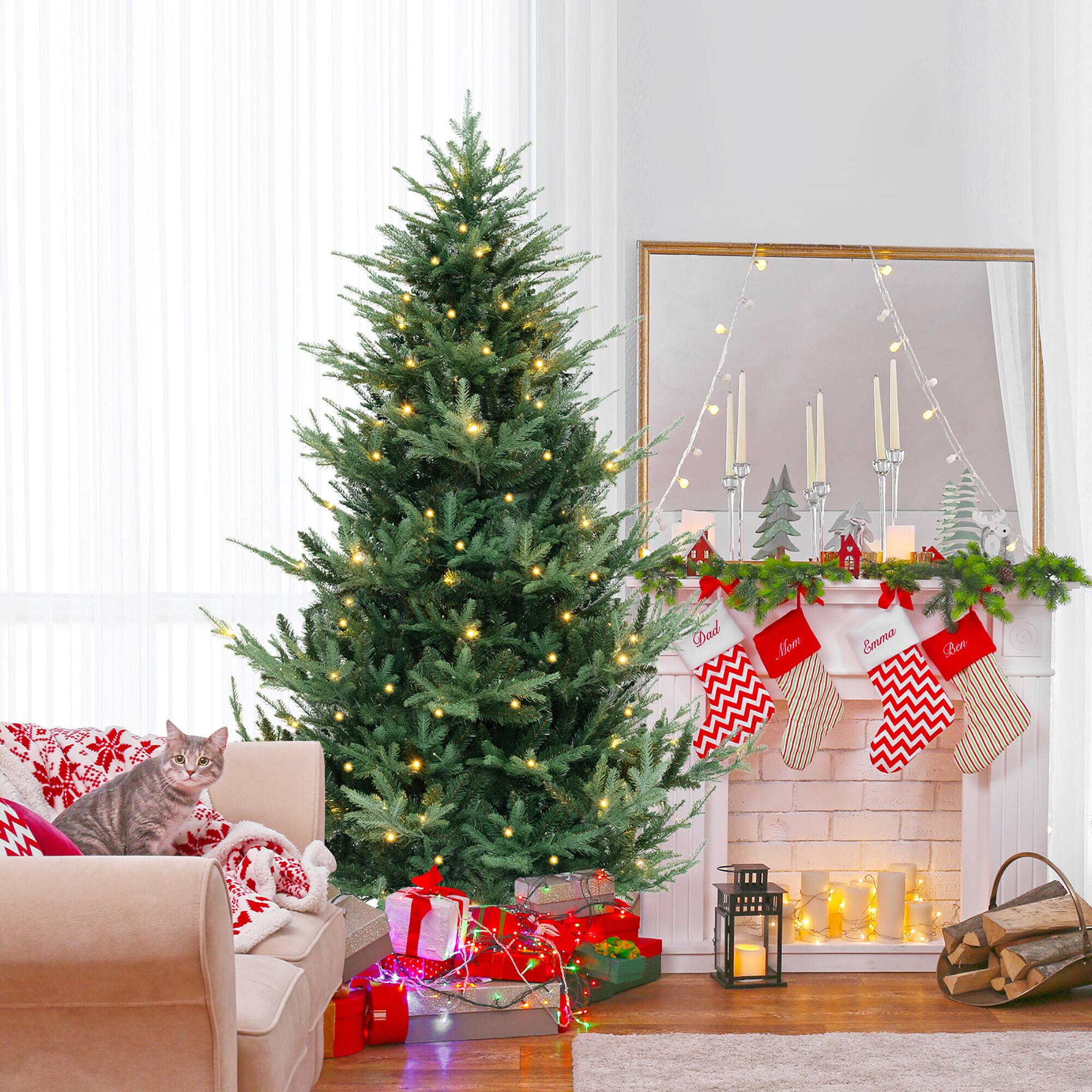 Dad  
Mom  
Emma  
Leo