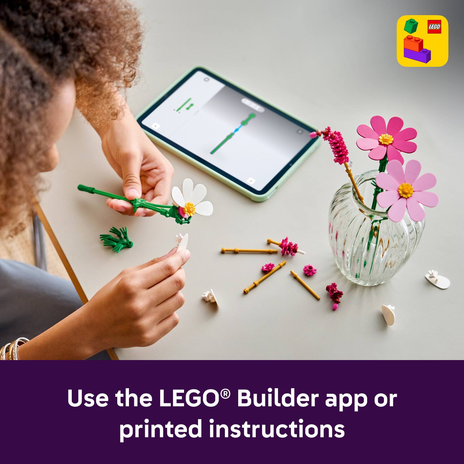 Use the LEGO® Builder app or printed instructions