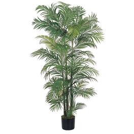 BreeBe - 6' Areca Palm Tree x 8 w/1464 Lvs - Green