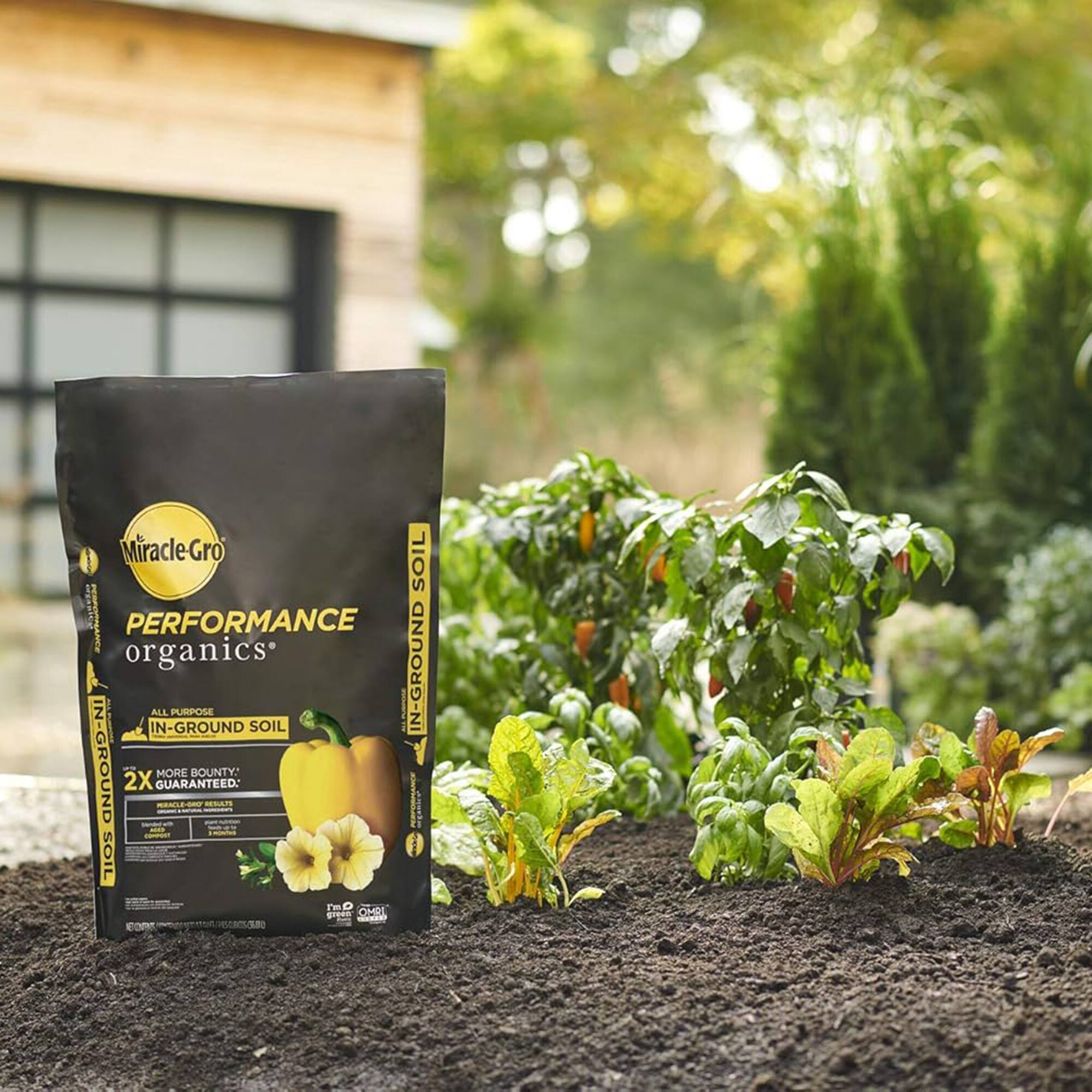 Miracle-Gro  
PERFORMANCE organics  
ALL PURPOSE IN-GROUND SOIL  
2X MORE BOUNTY GUARANTEED  
IN-GROUND SOIL  
IN-GROUND SOIL  
IN-GROUND SOIL  
IN-GROUND SOIL  
IN-GROUND SOIL  
IN-GROUND SOIL  
IN-GROUND SOIL  
IN-GROUND SOIL  
IN-GROUND SOIL  
IN-GROUND SOIL  
IN-GROUND SOIL  
IN-GROUND SOIL  
IN-GROUND SOIL  
IN-GROUND SOIL  
IN-GROUND SOIL  
IN-GROUND SOIL  
IN-GROUND SOIL  
IN-GROUND SOIL  
IN-GROUND SOIL  
IN-GROUND SOIL  
IN-GROUND SOIL  
IN-GROUND SOIL  
IN-GROUND SOIL  
IN-GROUND SOIL  
IN-GROUND SOIL  
IN-GROUND SOIL  
IN-GROUND SOIL  
IN-GROUND SOIL  
IN-GROUND SOIL  
IN-GROUND SOIL  
IN-GROUND SOIL  
IN-GROUND SOIL  
IN-GROUND SOIL  
IN-GROUND SOIL  
IN-GROUND SOIL  
IN-GROUND SOIL  
IN-GROUND SOIL  
IN-GROUND SOIL