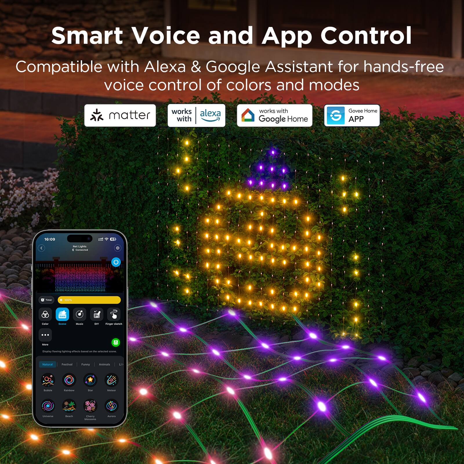 Smart Voice and App Control
Compatible with Alexa & Google Assistant for hands-free voice control of colors and modes
matter works with alexa works with Google Home Govee Home APP
10:00 - . 4 - Lighes - - - - - i - - - - - ... - R -a Hesing ngmig -  - - - - - - -ea C - A