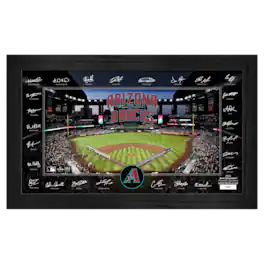 Highland Mint - Arizona Diamondbacks Framed 12" x 20" 2025 Signature Field Photograph - Facsimile Signatures - Limited Edition of 5,000 - Multicolor