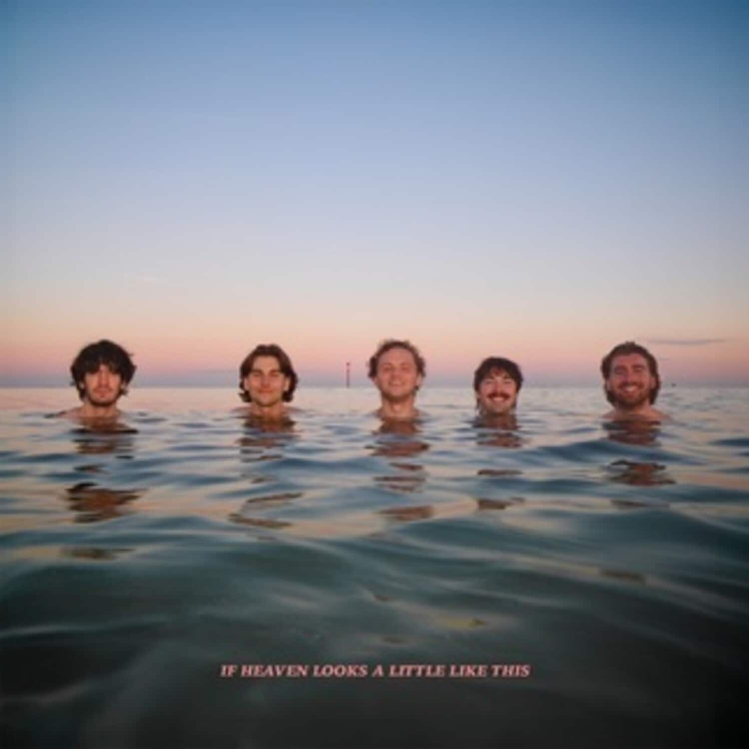 Delights - If Heaven Looks A Little Like This - Digipak  - COMPACT DISCS