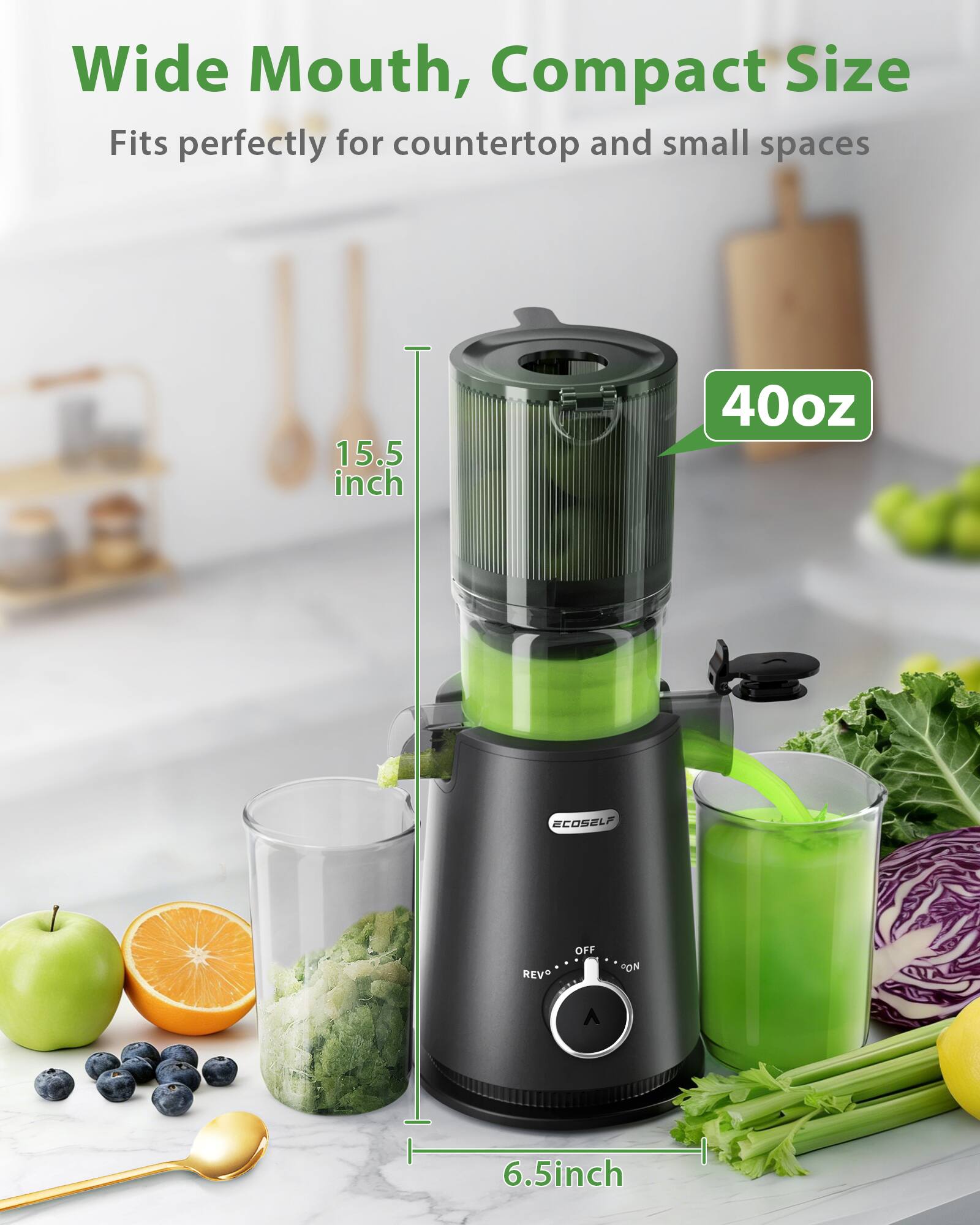 Wide Mouth, Compact Size  
Fits perfectly for countertop and small spaces  
15.5 inch  
40oz  
6.5 inch