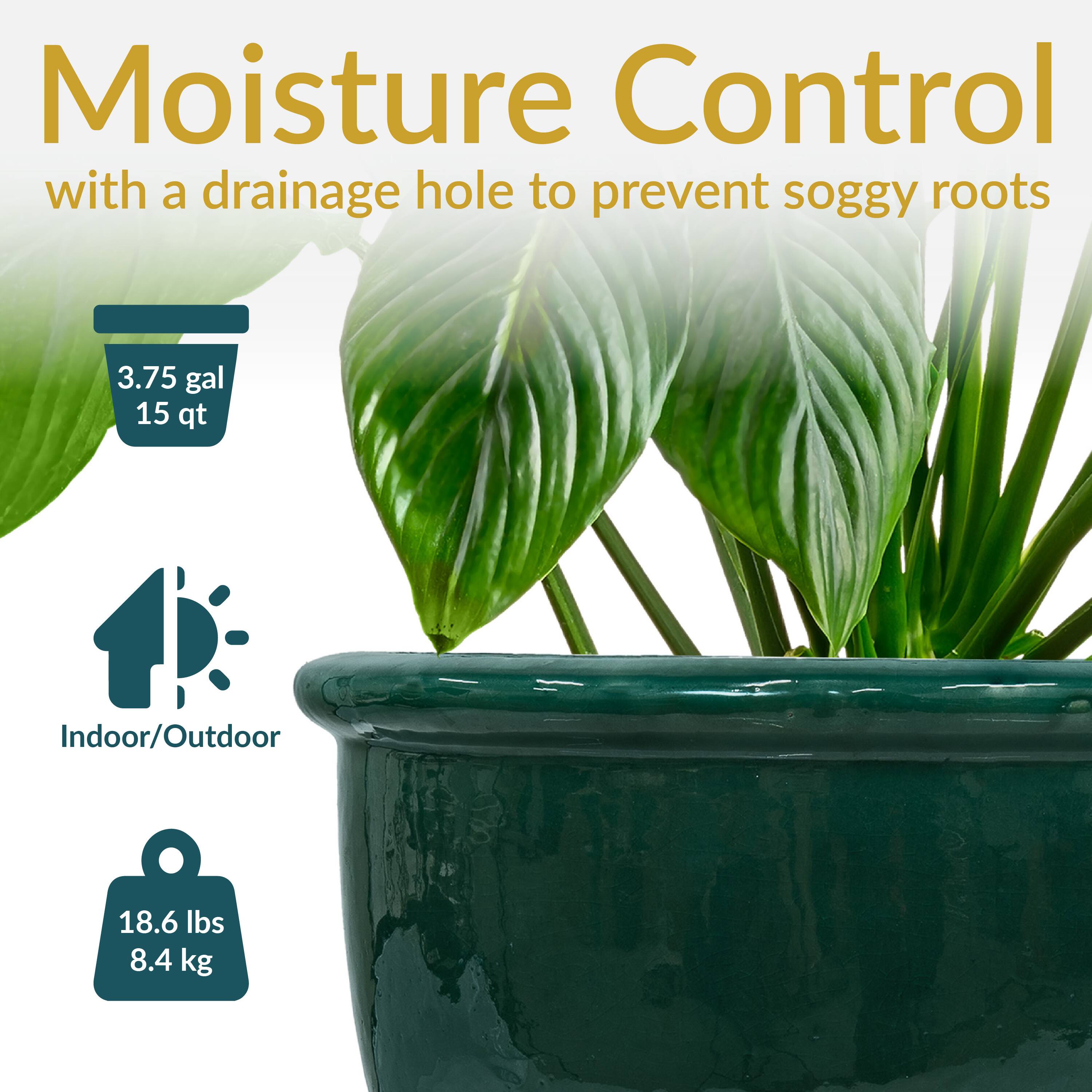 Moisture Control with a drainage hole to prevent soggy roots

- 3.75 gal / 15 qt
- Indoor/Outdoor
- 18.6 lbs / 8.4 kg