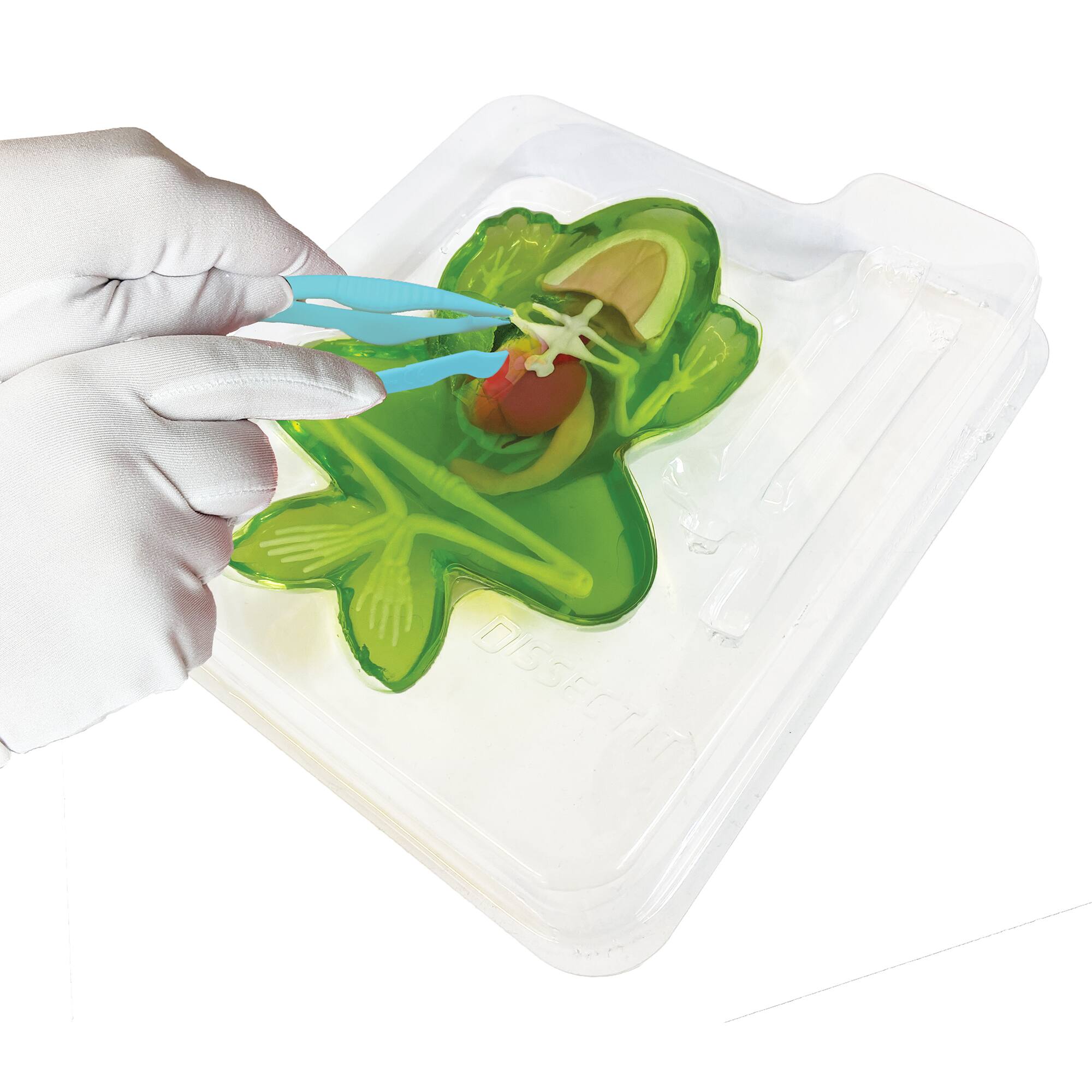 Alt View 2. Top Secret Toys - Dissect-It: Frog Lab.