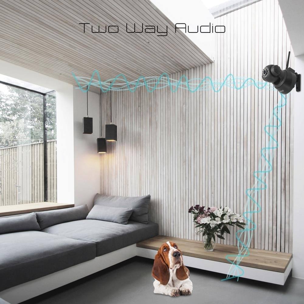 Two Way Audio
