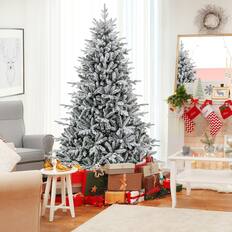 Dord Mbom Pna Lew