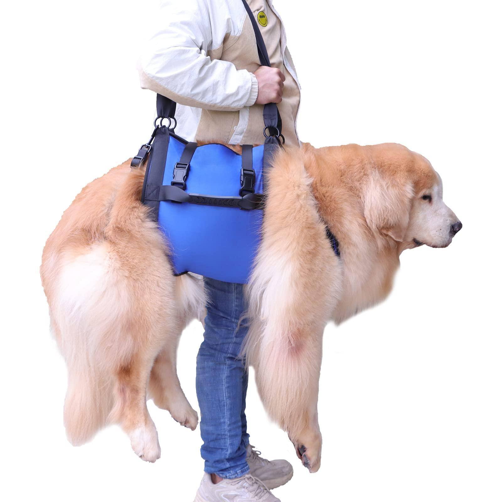 Front. Live At Space - Dog Carry Sling Emergency Backpack Pet Support Rehabilitation Lift Harness For Large Dogs Carrier Senior Joint Injuries.