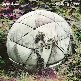 Steve Gunn - Eyes On The Lines - VINYL LP