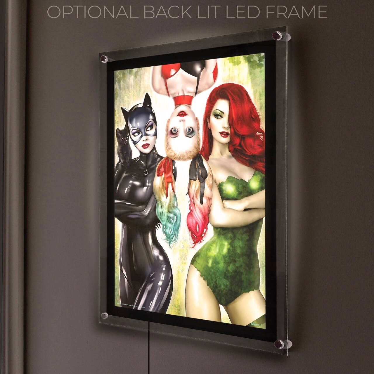 OPTIONAL BACK LIT LED FRAME