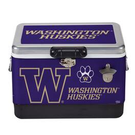 Indigo Falls - Washington Huskies 36-Can Medley Metal Cooler - Silver