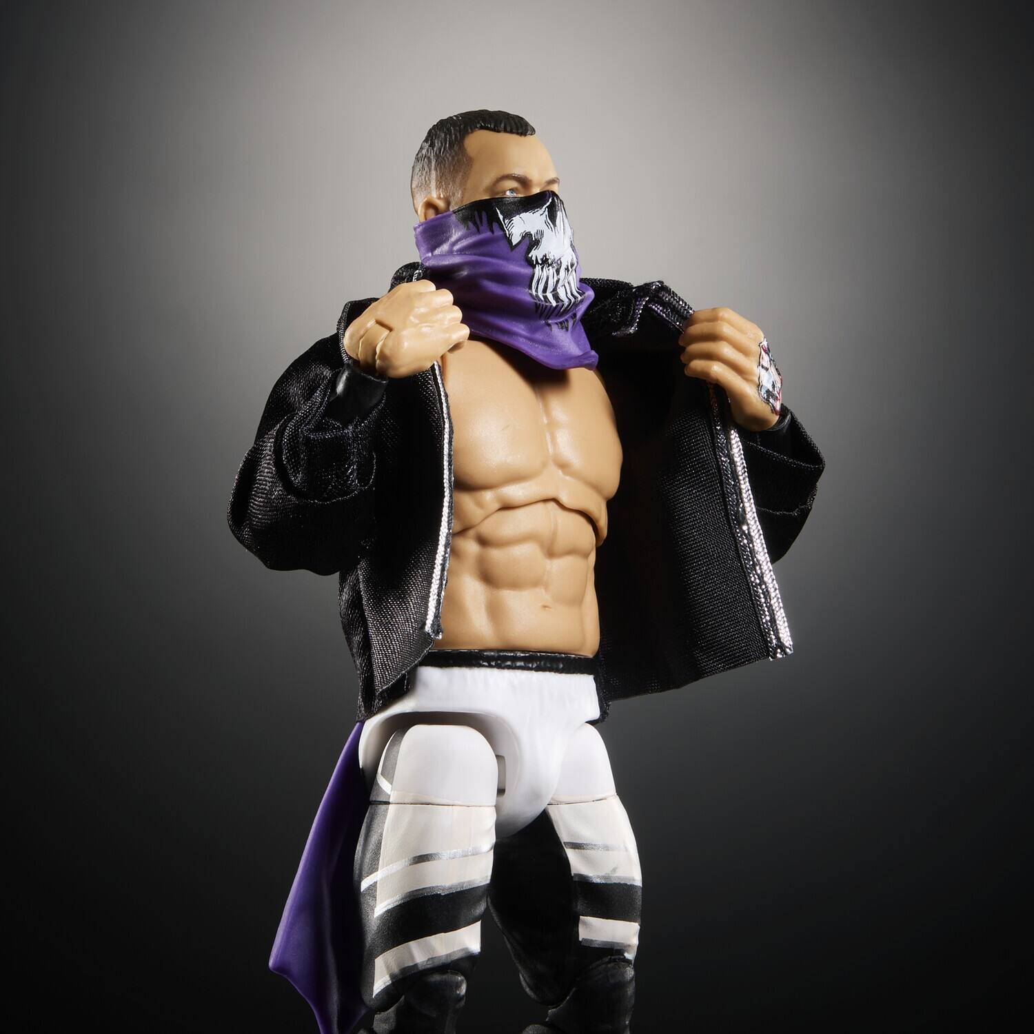 フィン・ベイラー　WWE アルティメットエディション　フィギュア　プロレス Mattel Collectible WWE Ultimate Edition 6