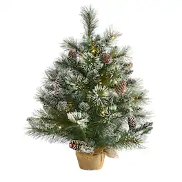 BreeBe - 2’ Frosted Pine Xmas Tree w/35 LEDs, Cones and Burlap - Brown, Green