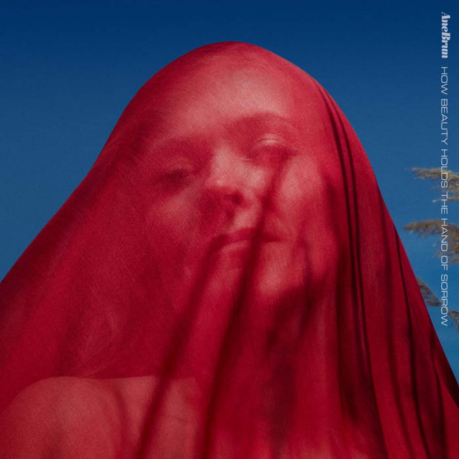 Ane Brun - How Beauty Holds The Hand Of Sorrow   - COMPACT DISCS [CD] price history on PriceWatchPro