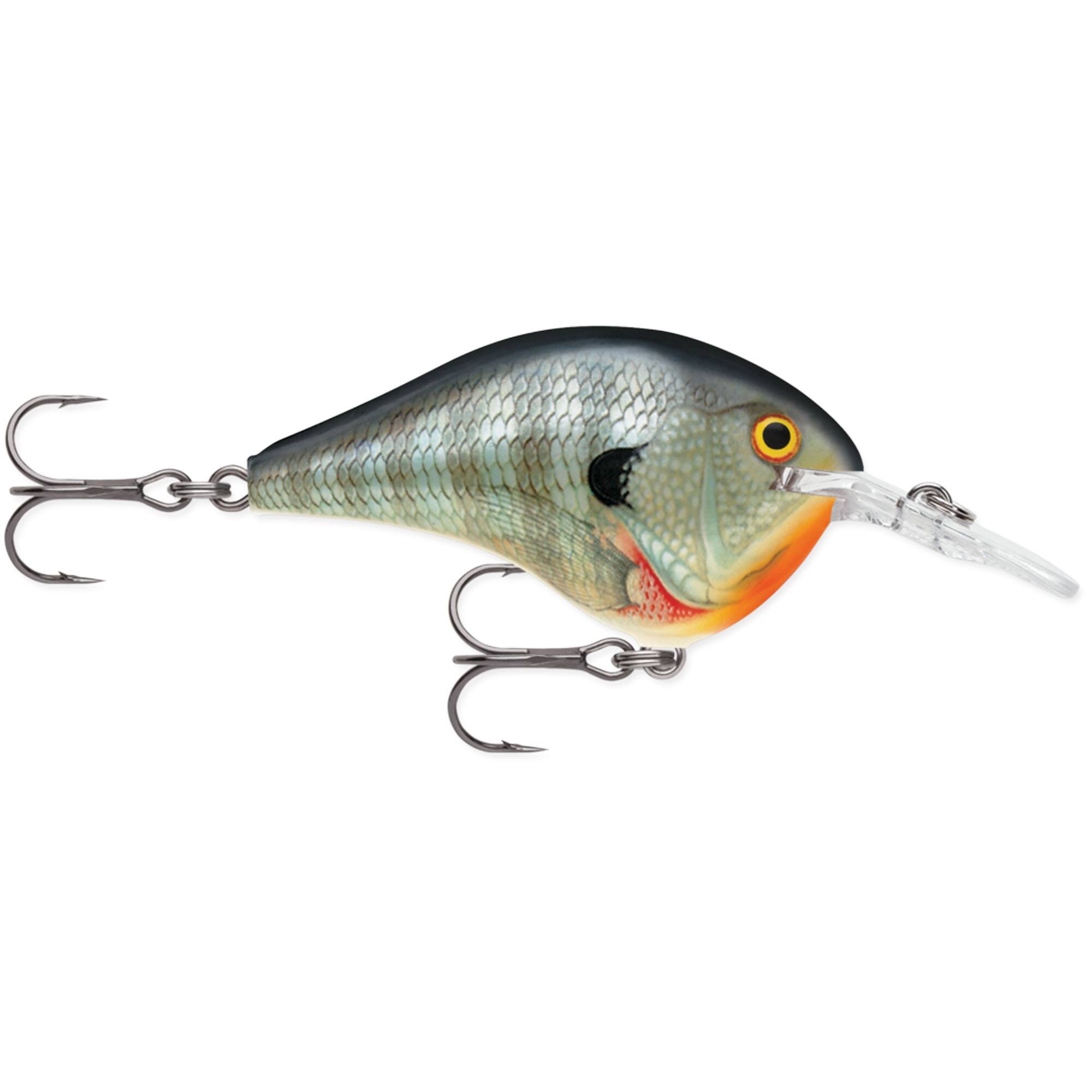 Bluegill
