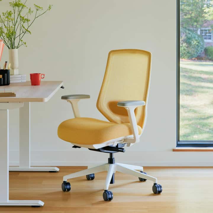 Branch Furniture - Ergonomic Chair Pro – Premium Office Seating with 14 Points of Adjustment & Dynamic Lumbar Support - Black / Black