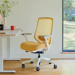 Branch Furniture - Ergonomic Chair Pro – Premium Office Seating with 14 Points of Adjustment & Dynamic Lumbar Support - Black / Black