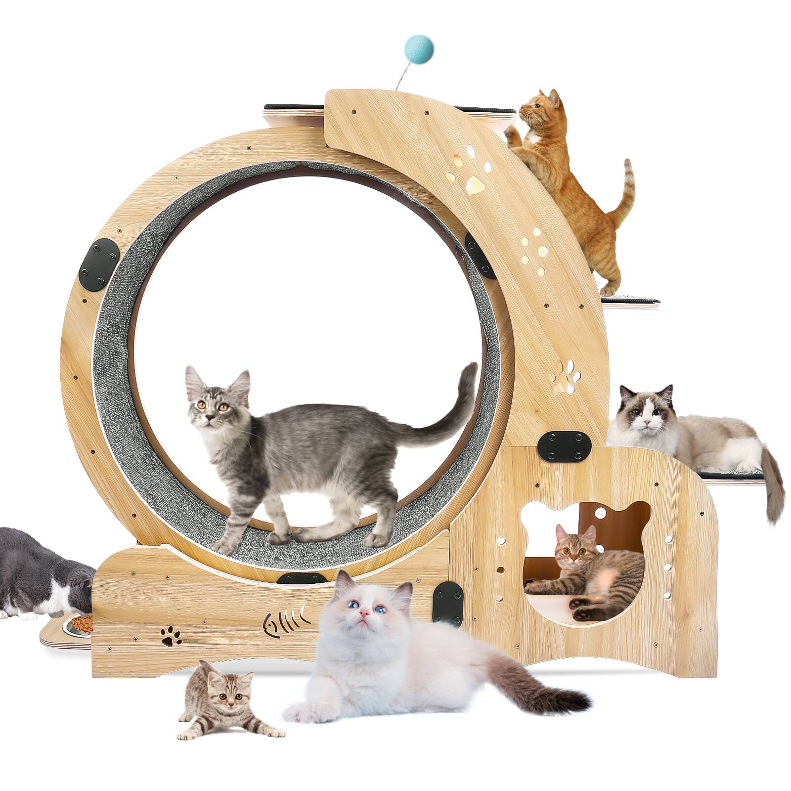 Dexmalle - Dexmalle-6-in-1 Cat Silent Exercise Wheel with Cat Furniture Cat Toys - Wood