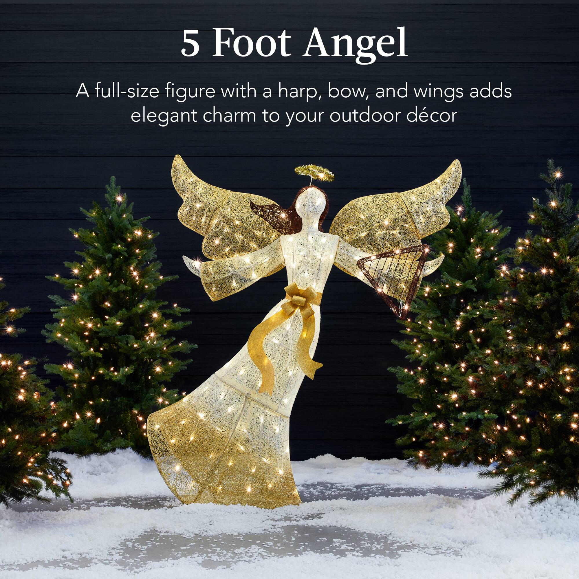 5 Foot Angel

A full-size figure with a harp, bow, and wings adds elegant charm to your outdoor décor