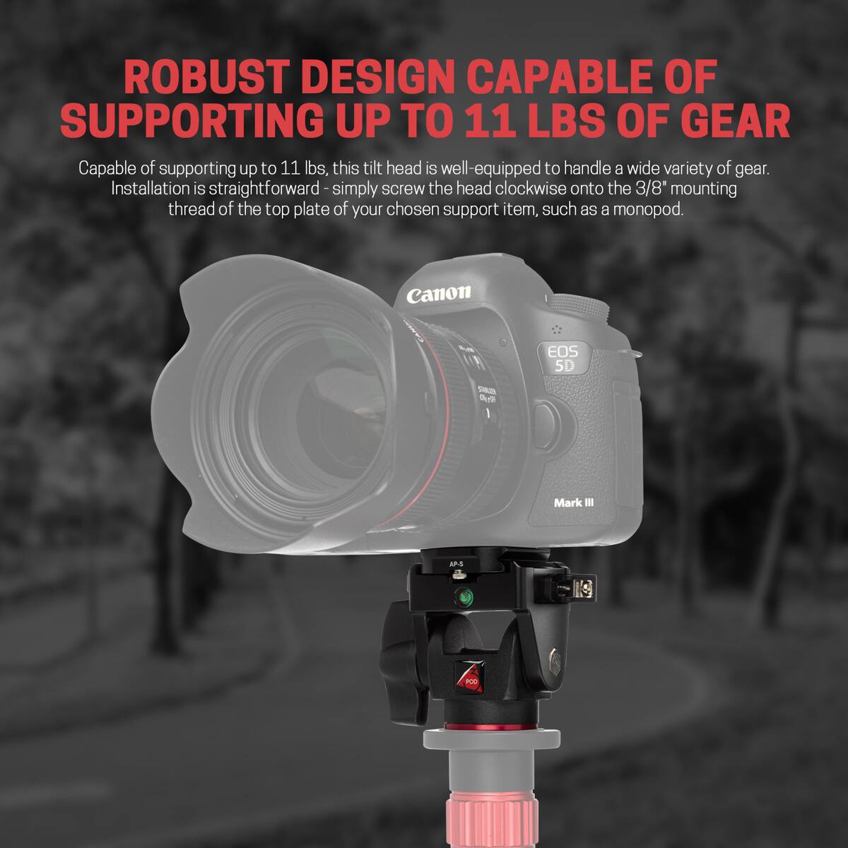 ROBUST DESIGN CAPABLE OF SUPPORTING UP TO 11 LBS OF GEAR

Capable of supporting up to 11 lbs, this tilt head is well-equipped to handle a wide variety of gear. Installation is straightforward - simply screw the head clockwise onto the 3/8" mounting thread of the top plate of your chosen support item, such as a monopod.

Canon
EOS 5D
Mark III
AP-S
POO