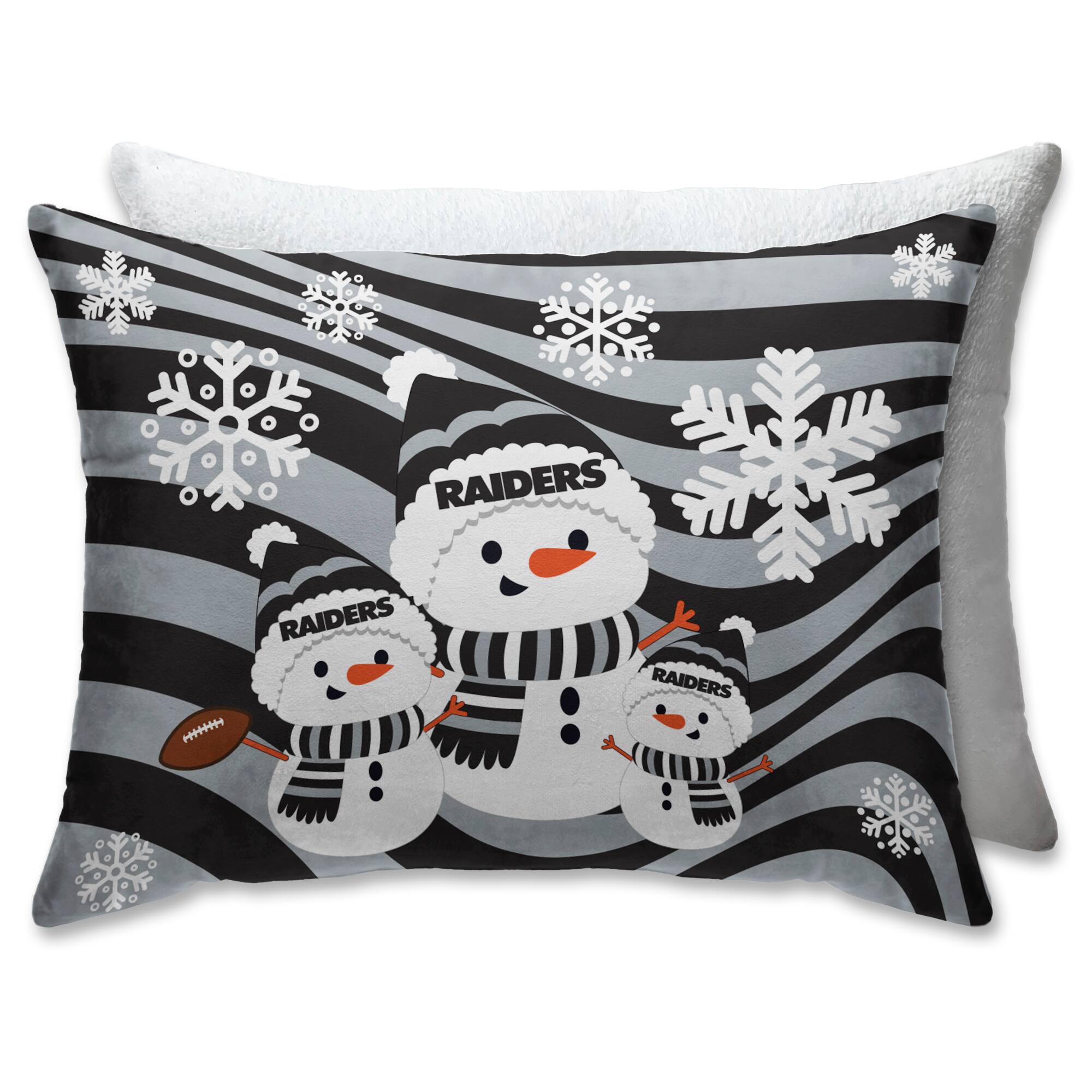 RAIDERS  
RAIDERS  
RAIDERS