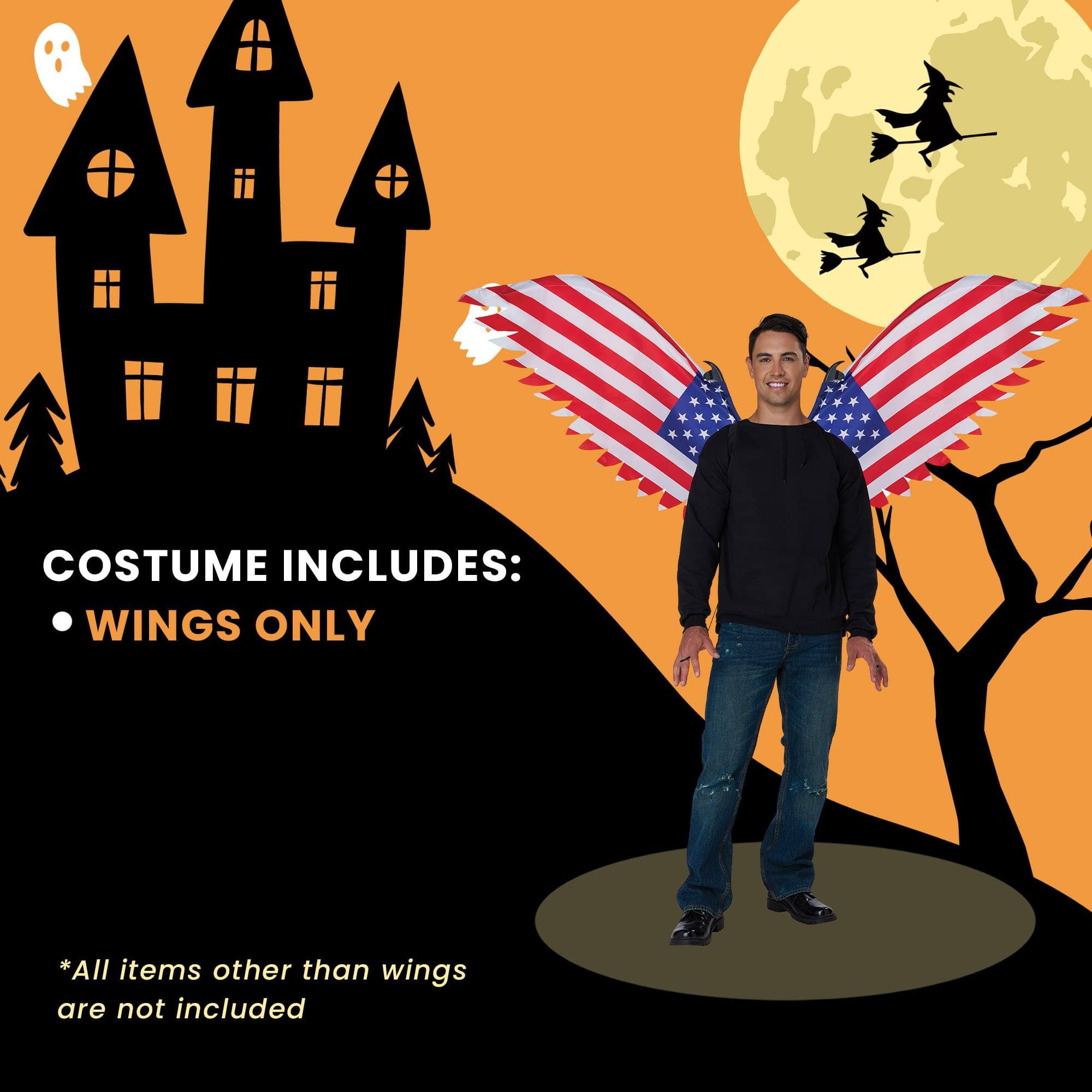 COSTUME INCLUDES:  
- WINGS ONLY  

*All items other than wings are not included