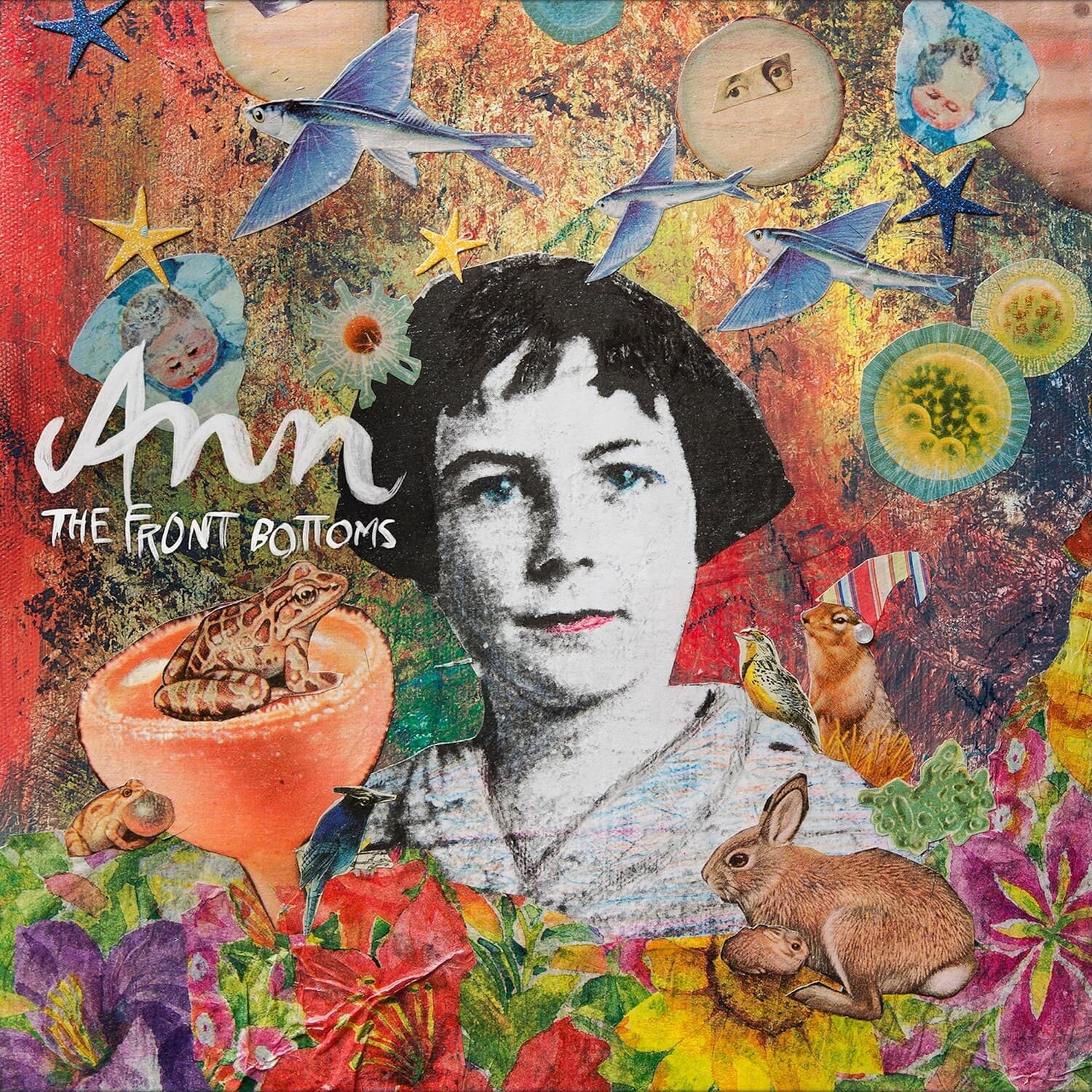 The Front Bottoms - Ann   - COMPACT DISCS [CD] price history on PriceWatchPro