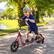 Angle. Homcom - Kick Scooter for kids 5-12, big wheel, adjustable height handlebar, non-slip footplate, rear brake - Red.