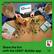 Build Togetherness
Share the fun with the LEGO® Builder app