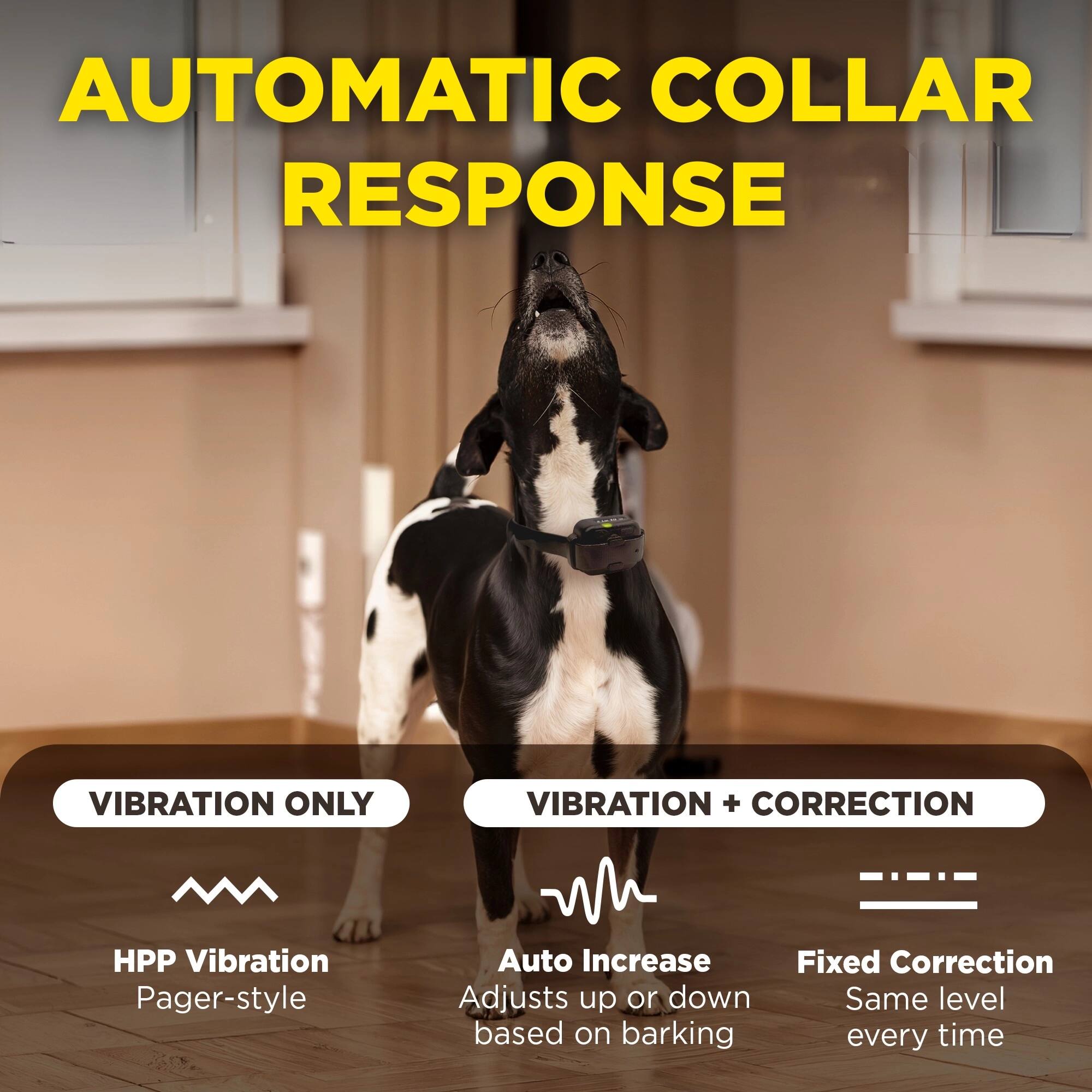 AUTOMATIC COLLAR RESPONSE

VIBRATION ONLY
- HPP Vibration
- Pager-style

VIBRATION + CORRECTION
- Auto Increase
- Adjusts up or down based on barking
- Fixed Correction
- Same level every time
