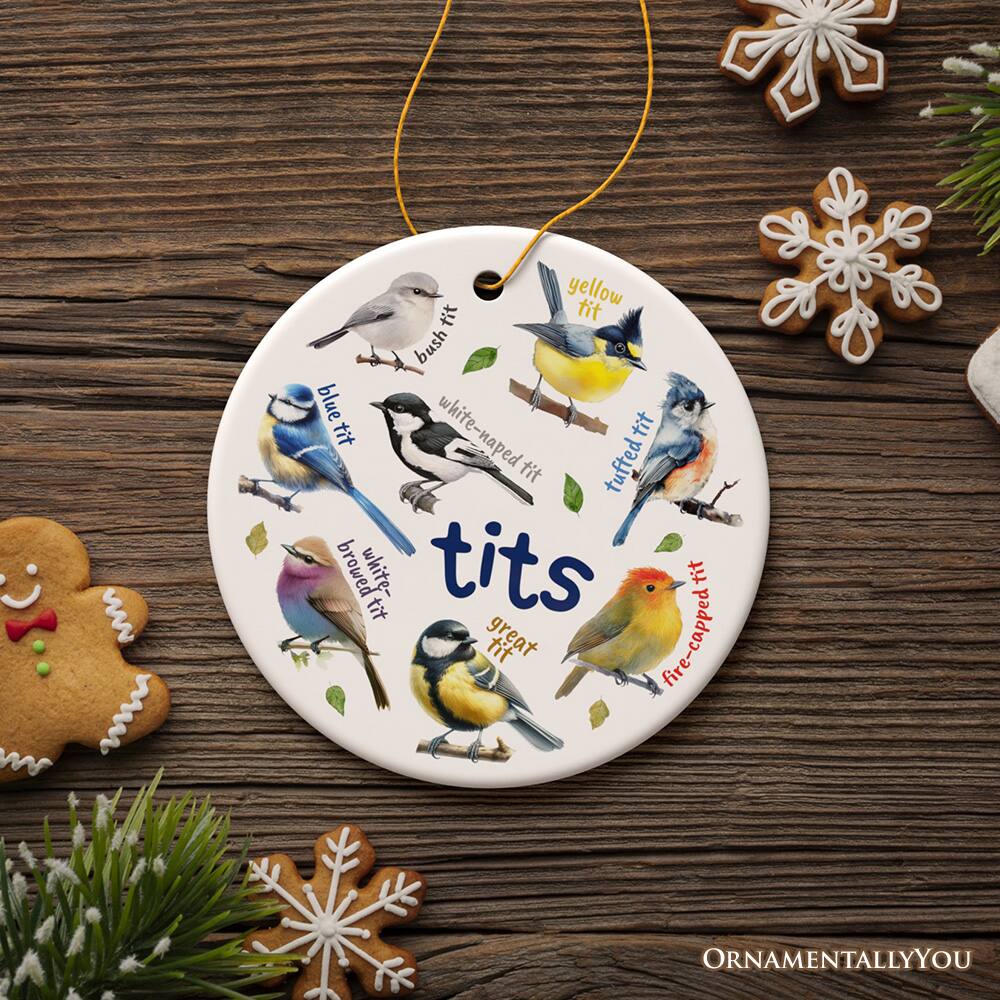 - yellow tit
- blue tit
- white-naped tit
- bush tit
- tufted tit
- great tit
- fire-capped tit
- white-browed tit
- brown tit
- crested tit
- fire-capped tit

ORNAMENTALLY YOU