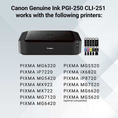 Canon 250 XL/CLI 251 5 Pack Special Edition Ink Cartridges Black Canon 250 XL/CLI 251 5 Pack Special Edition Ink Cartridges Black