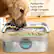 Perfect for Furry with Large Tongues
Wider and Deeper Water Surface
Deepen by 50%