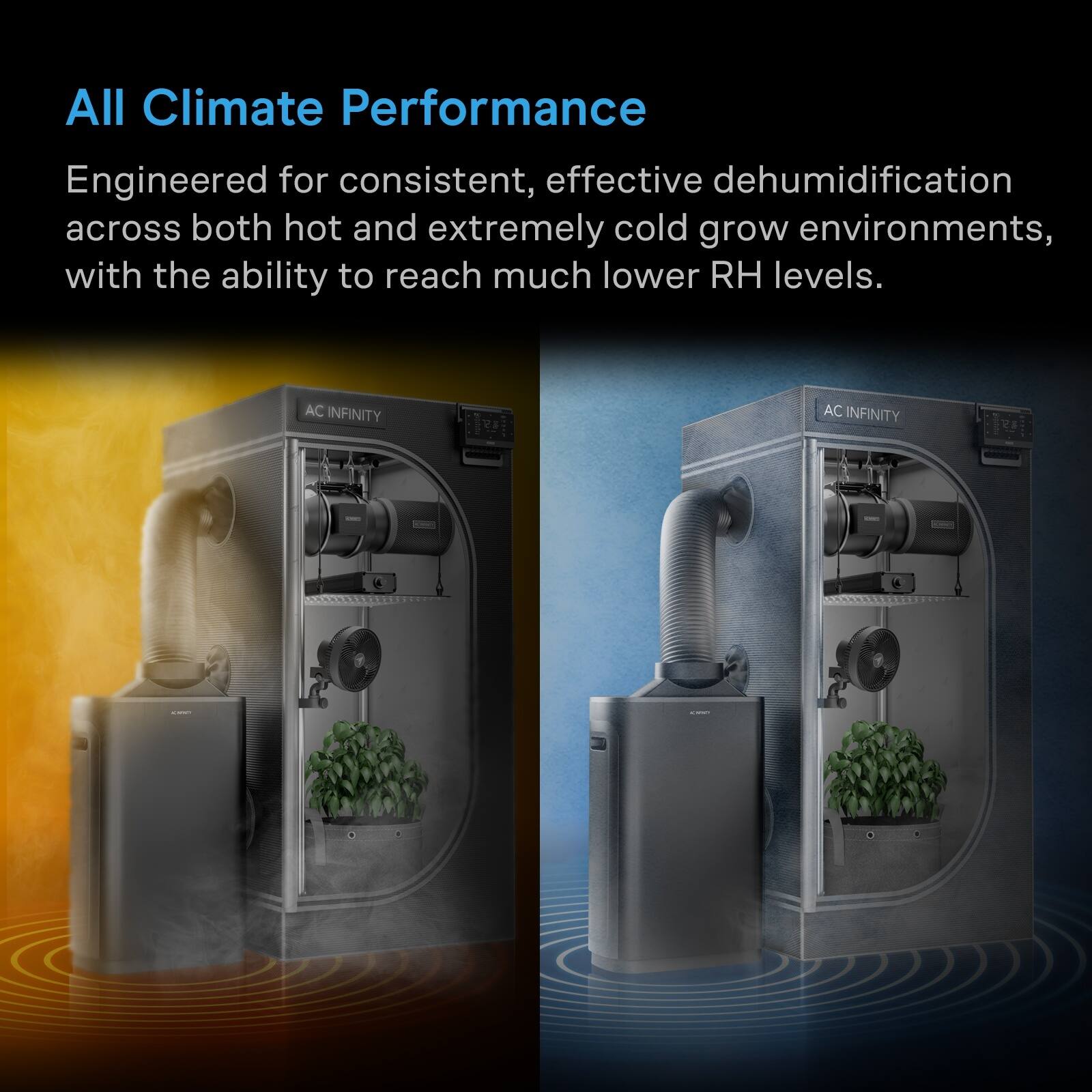 All Climate Performance

Engineered for consistent, effective dehumidification across both hot and extremely cold grow environments, with the ability to reach much lower RH levels.

AC INFINITY