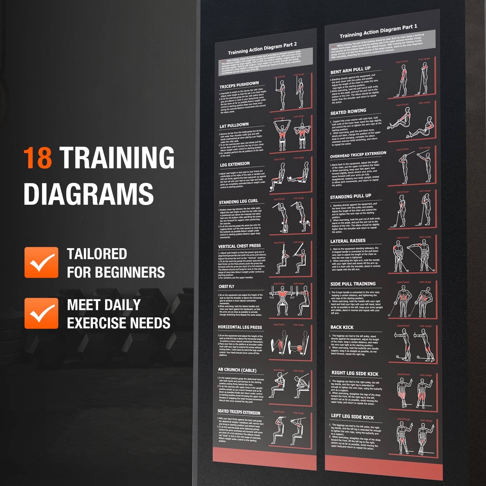 Part 2 Action Diagram Training - Part 5 Action Diagram Training - A - - - - I - - - - - - TRICEPS PUSHDOWN PULL UP BENT ARM - - - - - - 18 TRAINING DIAGRAMS LAT PULLDOWN - LEG EXTENSION - STANDING LFG CURL SEATED ROWING - - - - - - - - - - a - THOCEP EXTENSION OVERHEAD - - - STANDING PULL UP - TAILORED FOR BEGINNERS VERTICAL CHEST PRESS CHEST R,T LATERAL RAISES - - - SIDE PULL TRAINING MEET DAILY EXERCISE NEEDS - HORIZONTAL LEG PRESS - BACK KICK - - AB CRUNCH (CABLE) RIGHT LEG SIDE KICK SEATED TRICEPS EXTENSION LEFT LEG SIDE KICK