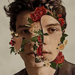 Shawn Mendes - Shawn Mendes - VINYL LP