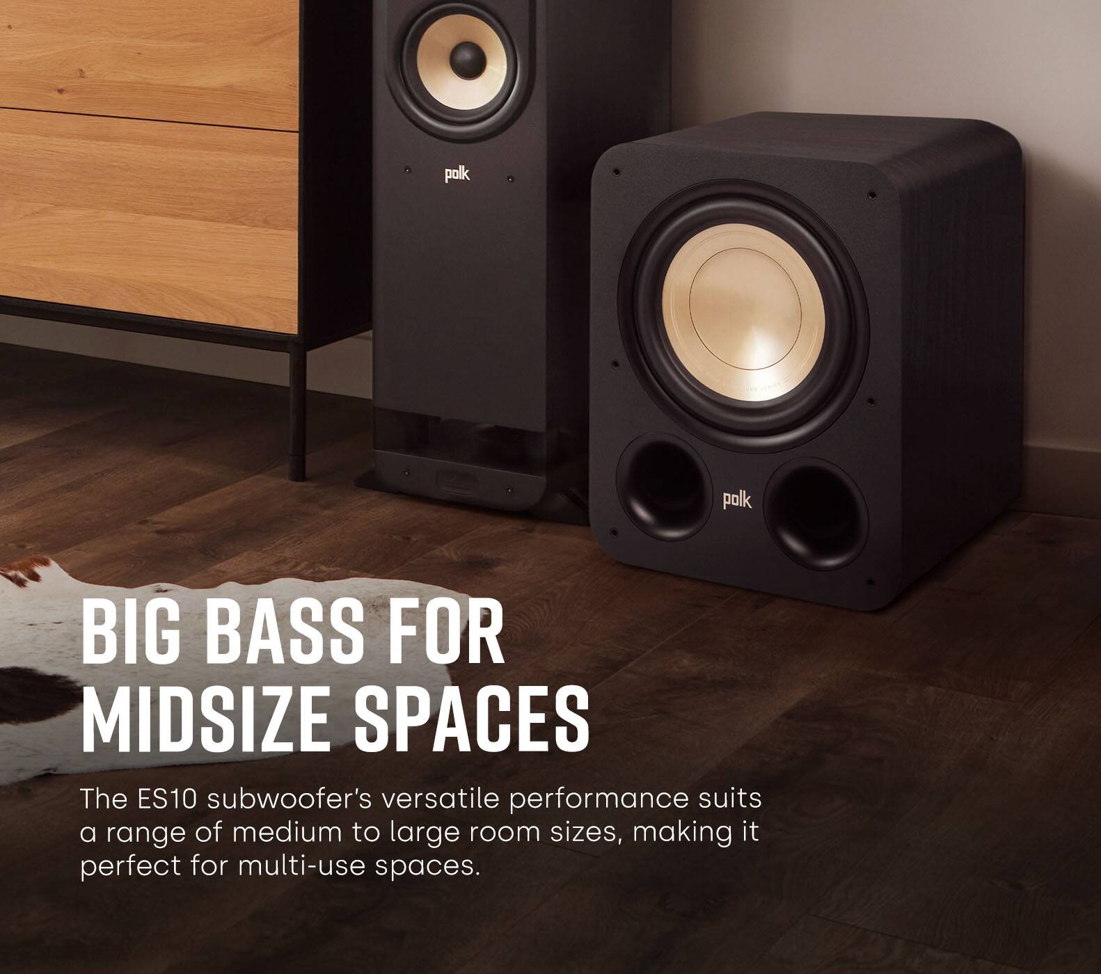 The ES10 subwoofer is versatile and suitable for a range of medium to large room sizes, making it perfect for multi-use spaces.