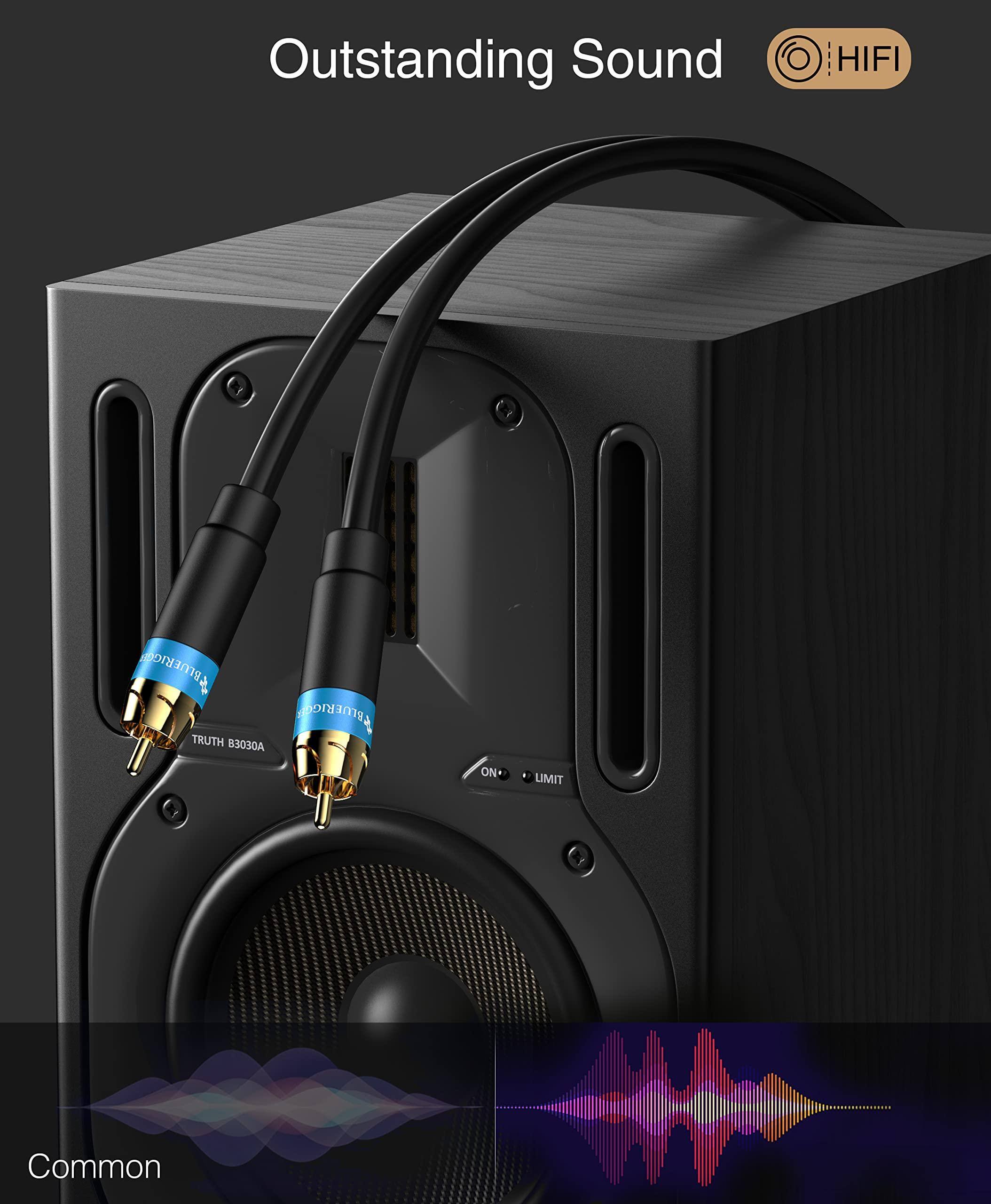 Outstanding Sound  
HIFI  

TRUTH B3030A  

Common