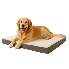 PetMaker - Orthopedic Dog Bed - 2-Layer 36x27-Inch Memory Foam Pet Mattress with Machine-Washable Cover for Large Dogs up to 65lbs - Gray
