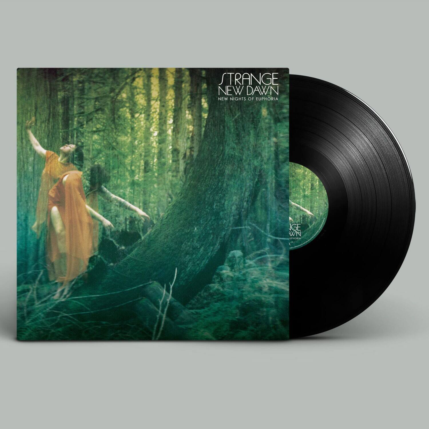 STRANGE NEW DAWN  
NEW NIGHTS OF EUPHORIA