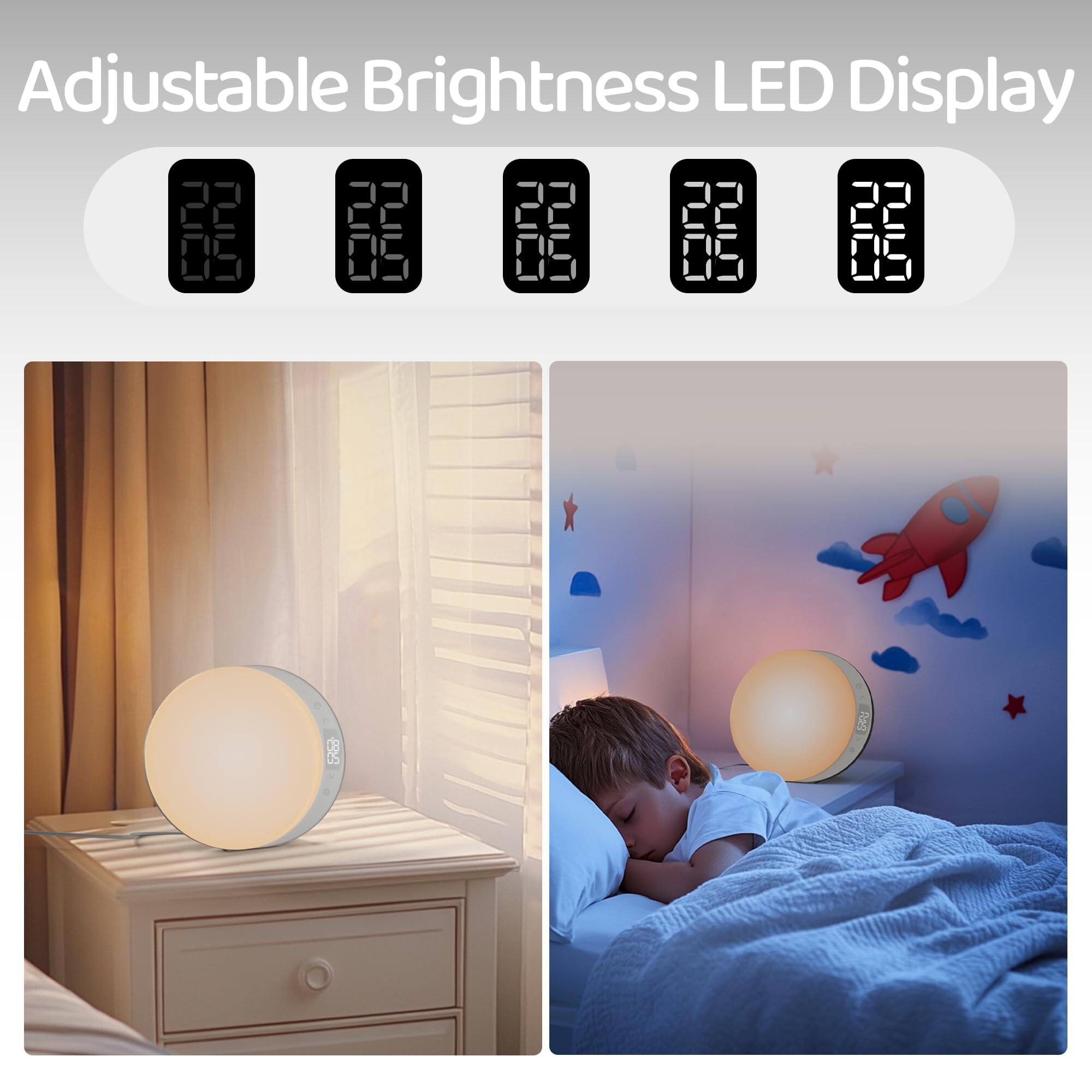 Adjustable Brightness LED Display