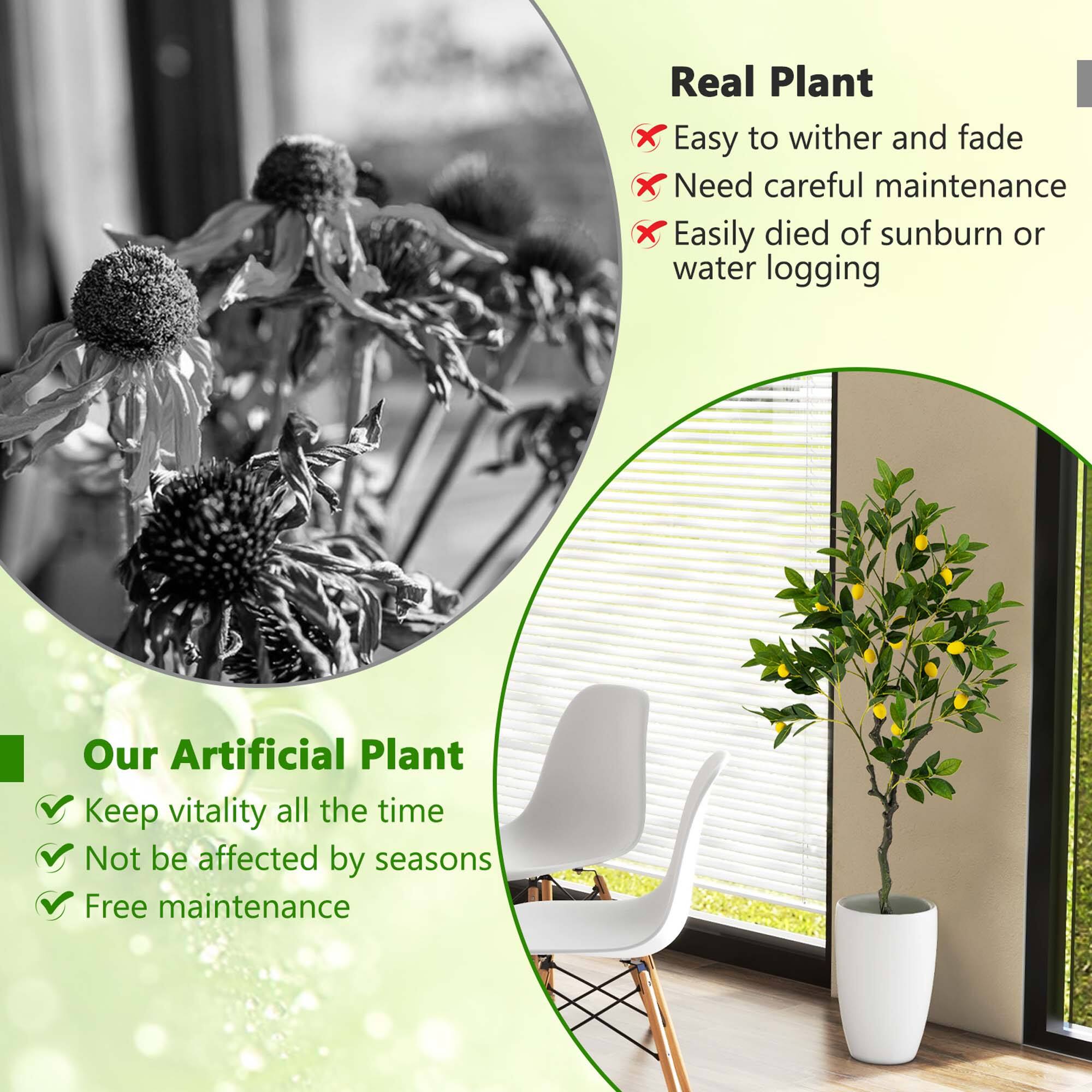 Real Plant:
- Easy to wither and fade
- Need careful maintenance
- Easily died of sunburn or water logging

Our Artificial Plant:
- Keep vitality all the time
- Not affected by seasons
- Free maintenance